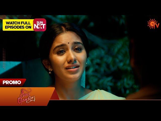 Singappenne - Promo | 27 Nov 2024 | Tamil Serial | Sun TV