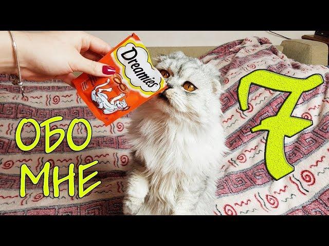 7 привычек КОТА КЕВИНА