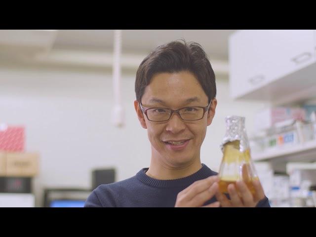My life at RIKEN