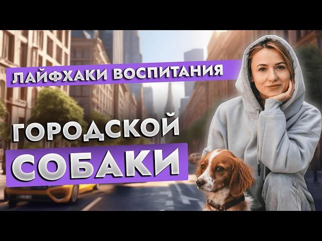  Какая порода НЕ ПОДОЙДЕТ для города? Раскрываем СЕКРЕТЫ воспитания собаки в городских условиях !