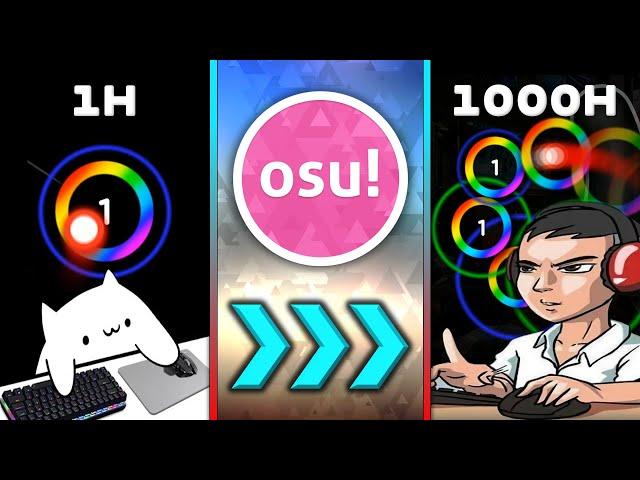 My first 1000 hours in osu!