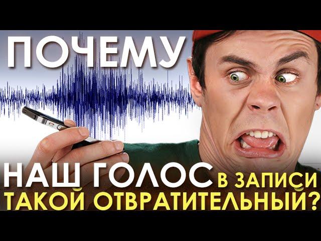 Почему наш голос в записи такой отвратительный? - ТОПЛЕС