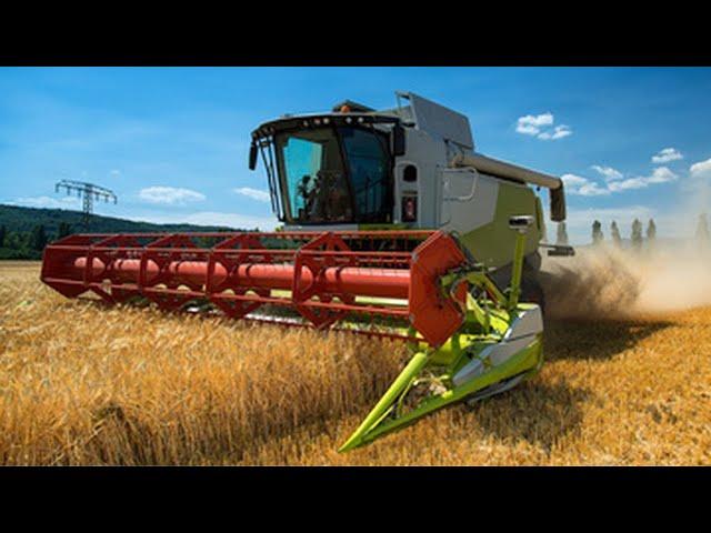 Modern Agriculture Machines At A Higher Level ▶4 #farming #harvest #picker #hay #bailing #maize