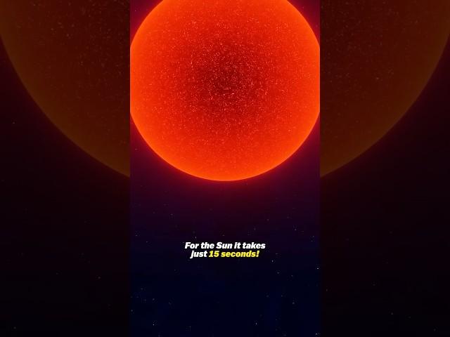 The Biggest Star in The Universe