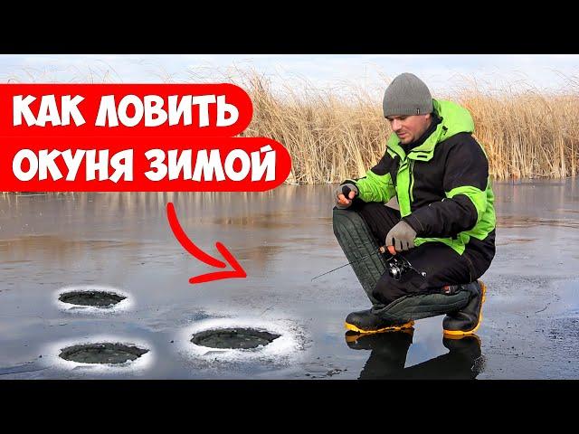 Как ловить ОКУНЯ со ЛЬДА и на что!? Ловля на БАЛАНСИР, МОРМЫШКУ, БАЛДУ зимой на льду