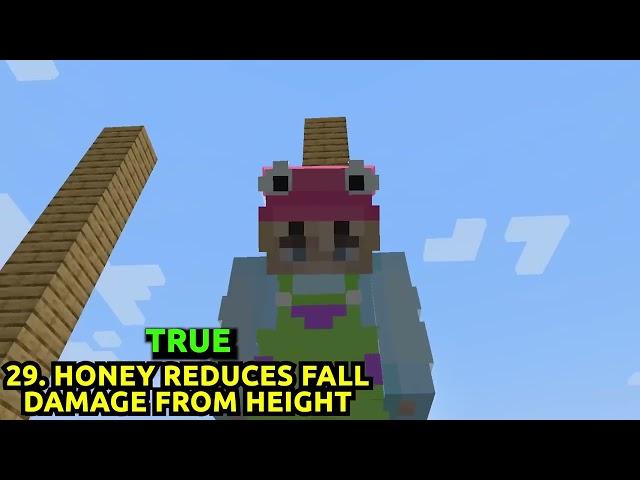 I Busted 50 EXTREME Minecraft Myths...