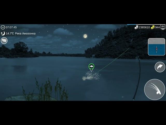 На что ловить рыбу павлиний басс в игре My Fishing World