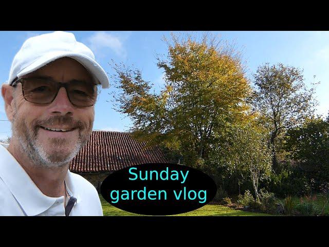 Sunday Part one - Creating something beautiful - My new life in France