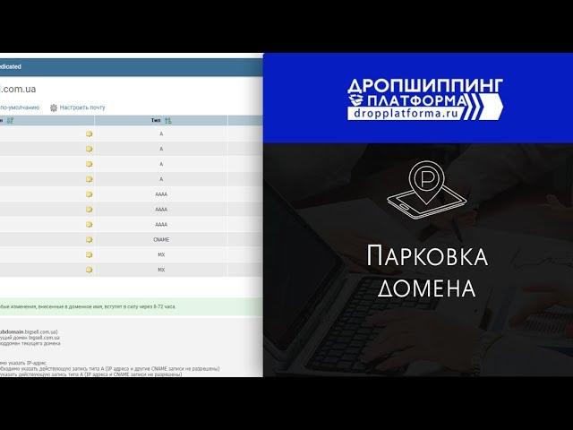 Как припарковать домен в Дропшиппинг Платформе?