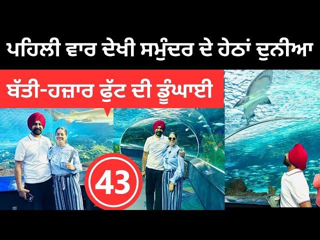 ਪਹਿਲੀ ਵਾਰ ਦੇਖੀ ਸਮੁੰਦਰ ਦੇ ਹੇਠਲੀ ਦੁਨੀਆ Aquarium Canada  Punjabi Travel Couple | Ripan Khushi