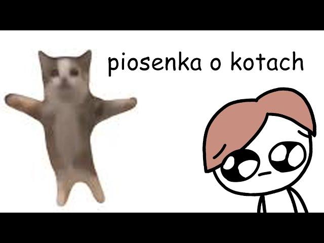 piosenka o kotach