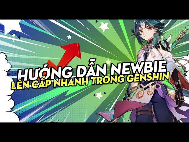 [HƯỚNG DẪN NEWBIE] 5 cách newbie nên biết để lên cấp mạo hiểm nhanh trong GENSHIN IMPACT