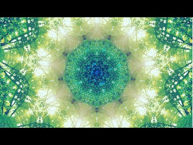 WaveDream ~ Healing Music (432hz) Meditation and Theta Isochronic Tones