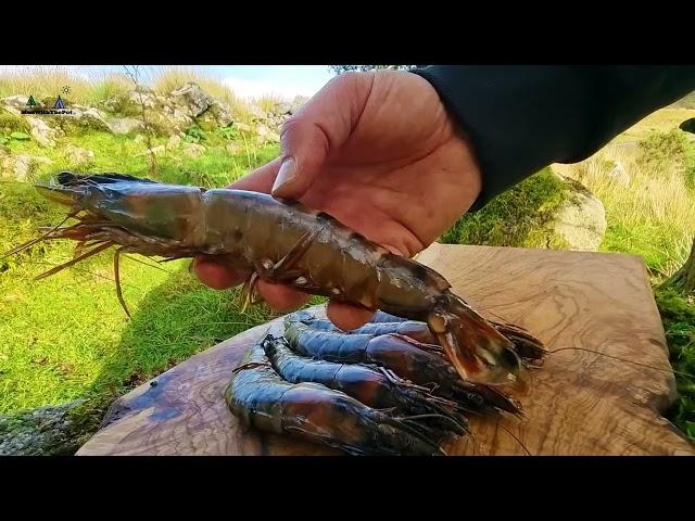 Sea food Pasta cooked by the beautiful lake  (ASMR Cooking, CAMPING)