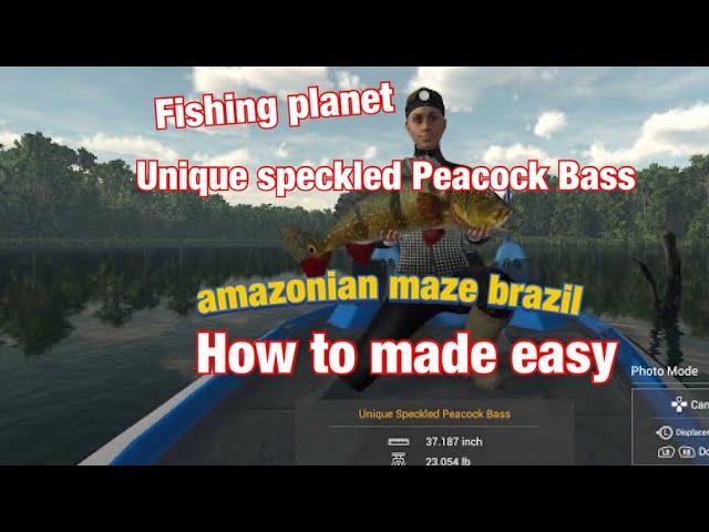 Fishing planet amazonian maze brazil Unique speckled Peacock Bass