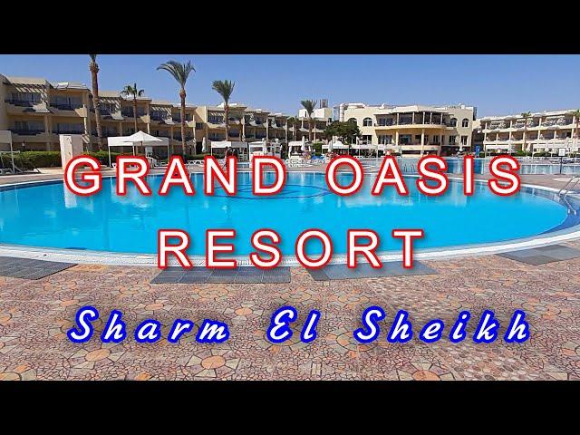 GRAND OASIS RESORT 4* Шарм Эль Шейх. Обзор номера,завтрак ,пляж