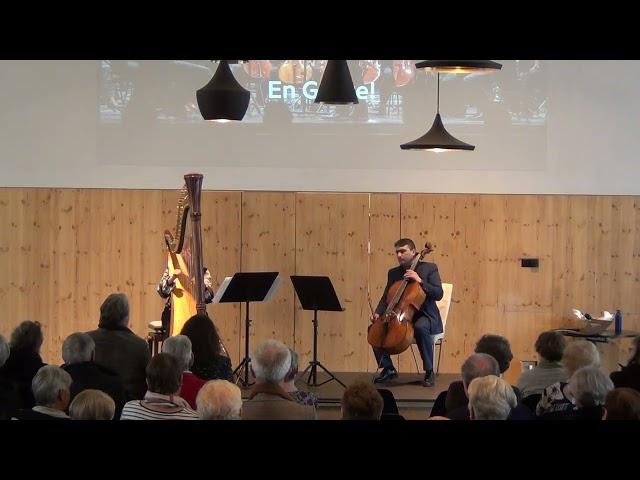 Tigran Muradyan (Cello) / Lea Magdalena Knecht (Harfe) - F Chopin – Nocturne cis moll