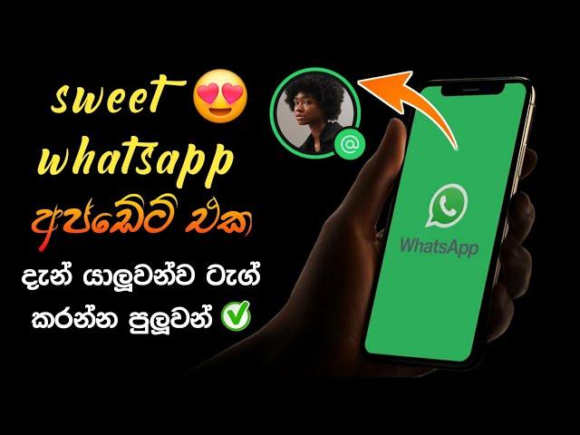 Whatsapp Big Update Sinhala | status Tag Mention and Repost update | simple academy