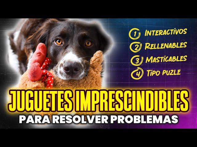 JUGUETES para PERROS [+cómo usarlos BIEN] #juguetesparaperros  #comportamientocanino