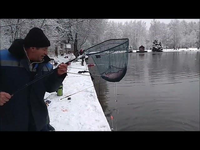 Рыбалка на Нижнем водоёме. Клёвое место Лосиный остров.