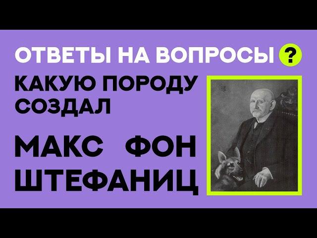 История создания Немецкой Овчарки. Ответы на вопросы. The history of German Shepherd.