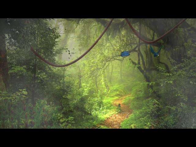 Rainforest animation