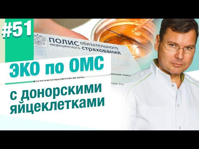 ЭКО с донорской яйцеклеткой по ОМС. Возможно ли?