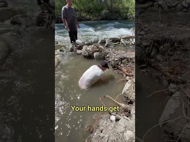 Using A Sluice Box To Find Gold