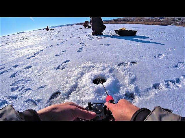 BLOWS like a SHOCKER one by one!!!! Winter fishing for walleye