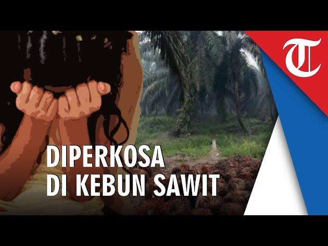 'Gilir' Gadis 16 Tahun di Kebun Sawit, 2 Pria Diciduk Polisi