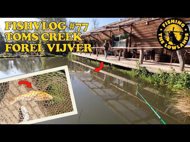 FishVlog #77 Toms Creek Forel vijver.