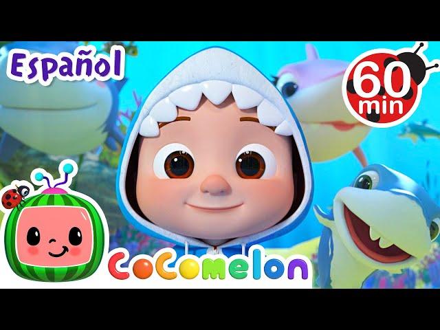 El bebe tiburoncito | CoComelon y los animales | Caricaturas para niños | Español Latino