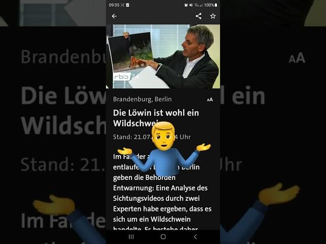 Die Löwin ist ein Wildschwein