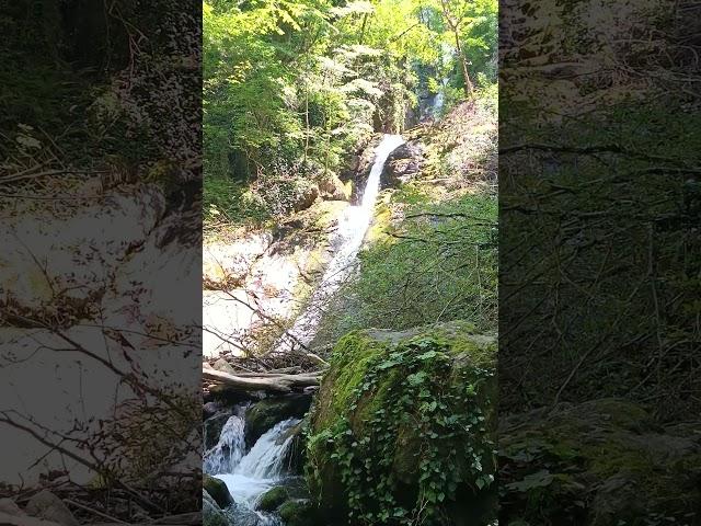 11 seconds of #ophitari #waterfall, #saqartvelo. #slowtv