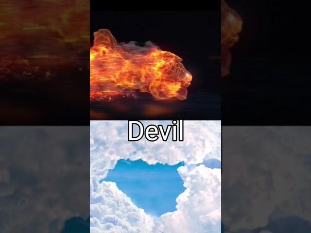 Mollu VS Molluse (Devil)