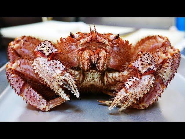 Japanese Street Food - GIANT HAIRY CRAB Seafood Pasta Japan