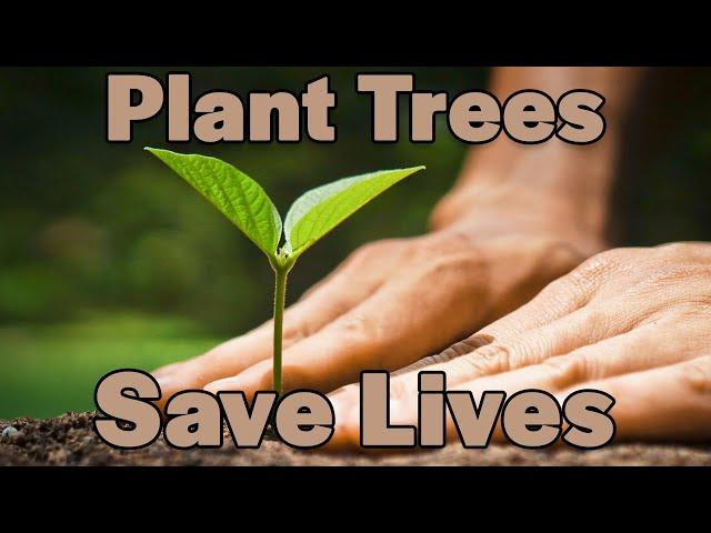 How You Can Improve Lives by Planting Trees | The Eden Reforestation Projects