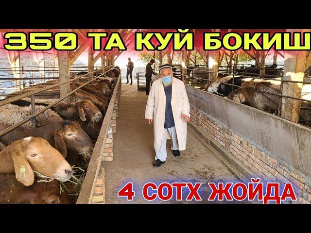 УЙ ШАРОИТИДА КУЙХОНА КУРИШ ХАМДА КУЙ БОКИШ УСЛУБИ