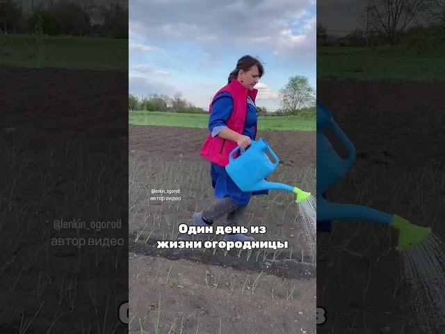 Подробности в описании #грядки #дача #огороднаподоконнике #деревня #огород #садоводничество #garden