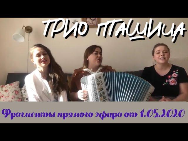 ТРИО ПТАШИЦА - фрагменты эфира от 01.05.2020 @VeronicaKurbanmamadova @SvetlanaKosheleva4