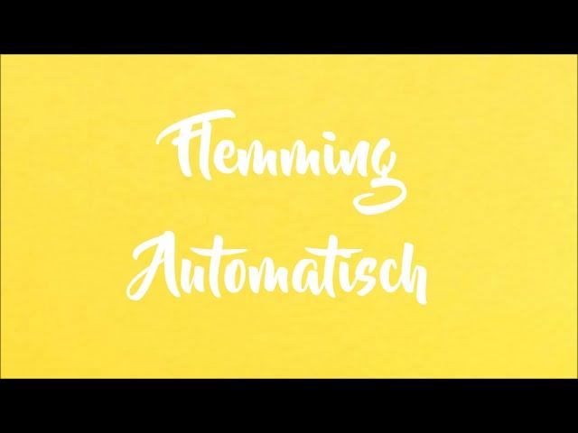 Flemming - Automatisch (Lyrics Video)