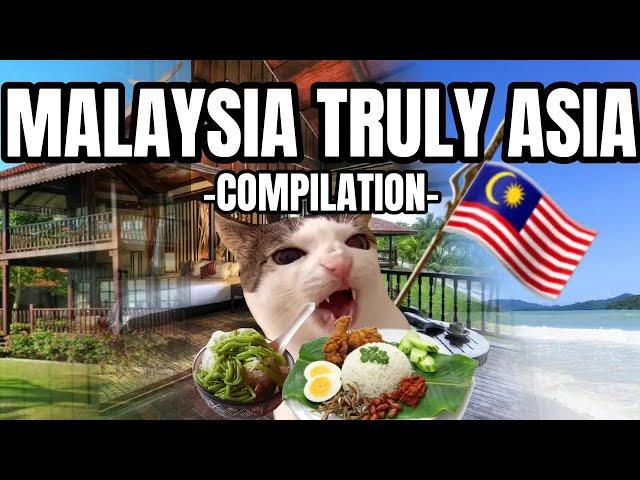 CAT MEMES: LET'S GO TO MALAYSIA PT.1