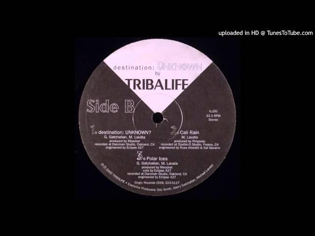 TRIBALIFE - Destination: UNKNOWN?