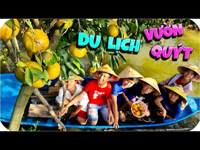 Tony | Du Lịch Vườn Quýt Khổng Lồ - Collect Mandarin Oranges