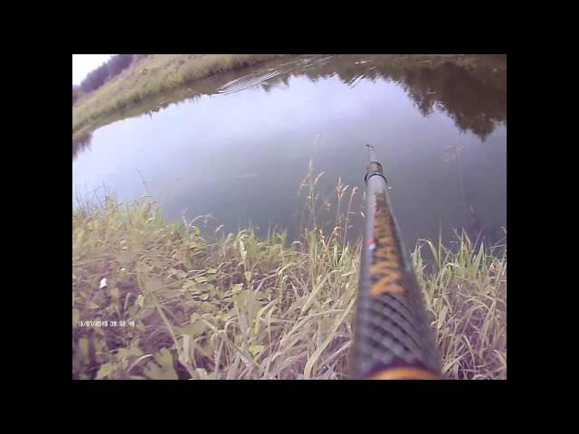 Maximus Dueler TSSD732L