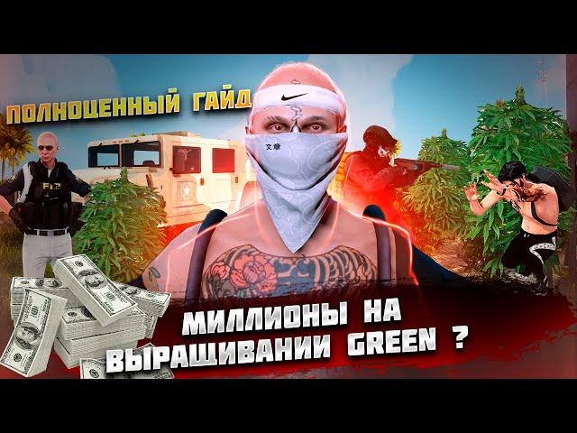 САМАЯ ПРИБЫЛЬНАЯ ПОДРАБОТКА 300К ЗА ПОЛТОРА ЧАСА | ВЫРАЩИВАНИЕ КУСТОВ GREEN в GTA 5 RP / Majestic RP