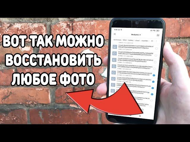 Как восстановить удаленное фото или видео ? Без программ