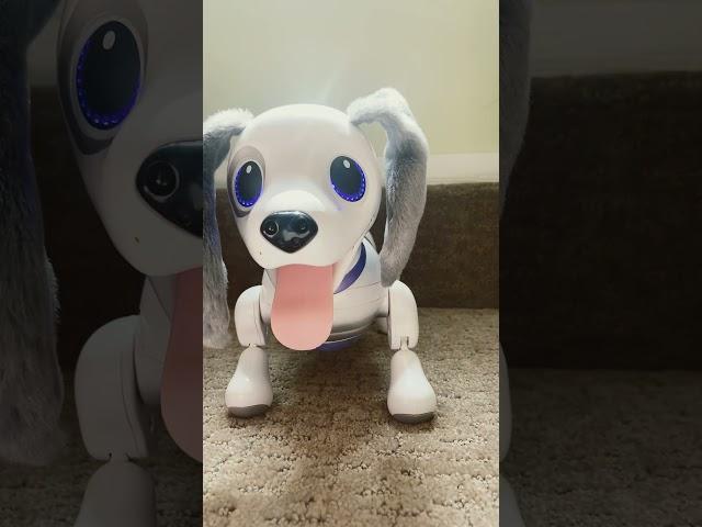 Zoomer Playful Pup All Voice Commands Part 1