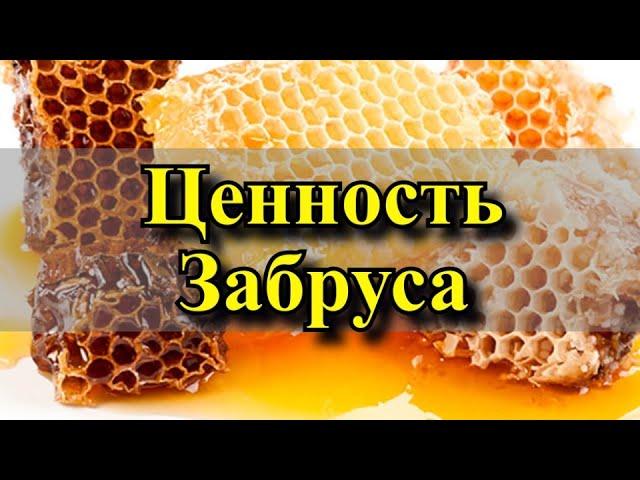 Ценность забруса!   Забрус кому можно кушать?