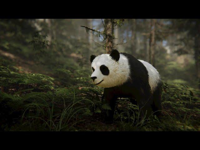 Grass bending Bears in Mossy Cedrus Forest with Unity 6